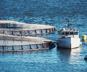 Aquaculture