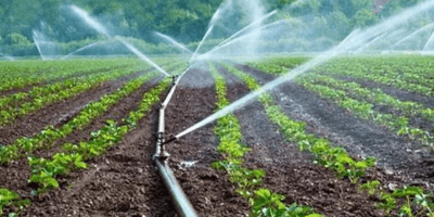 Agricultural Irrigation & Greenhouse Moistening