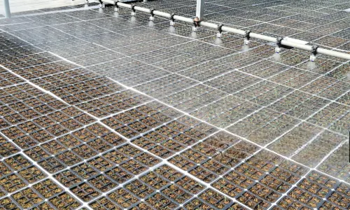 Benefits of Our Water Mist Systems